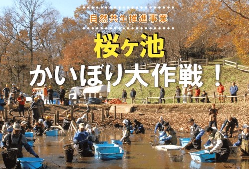【最終年度!!】未来へ紡ぐ、南砺の干柿と原風景ーハサ掛け再現プロジェクトーTOP画像