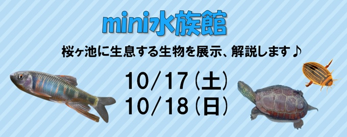 mini水族館