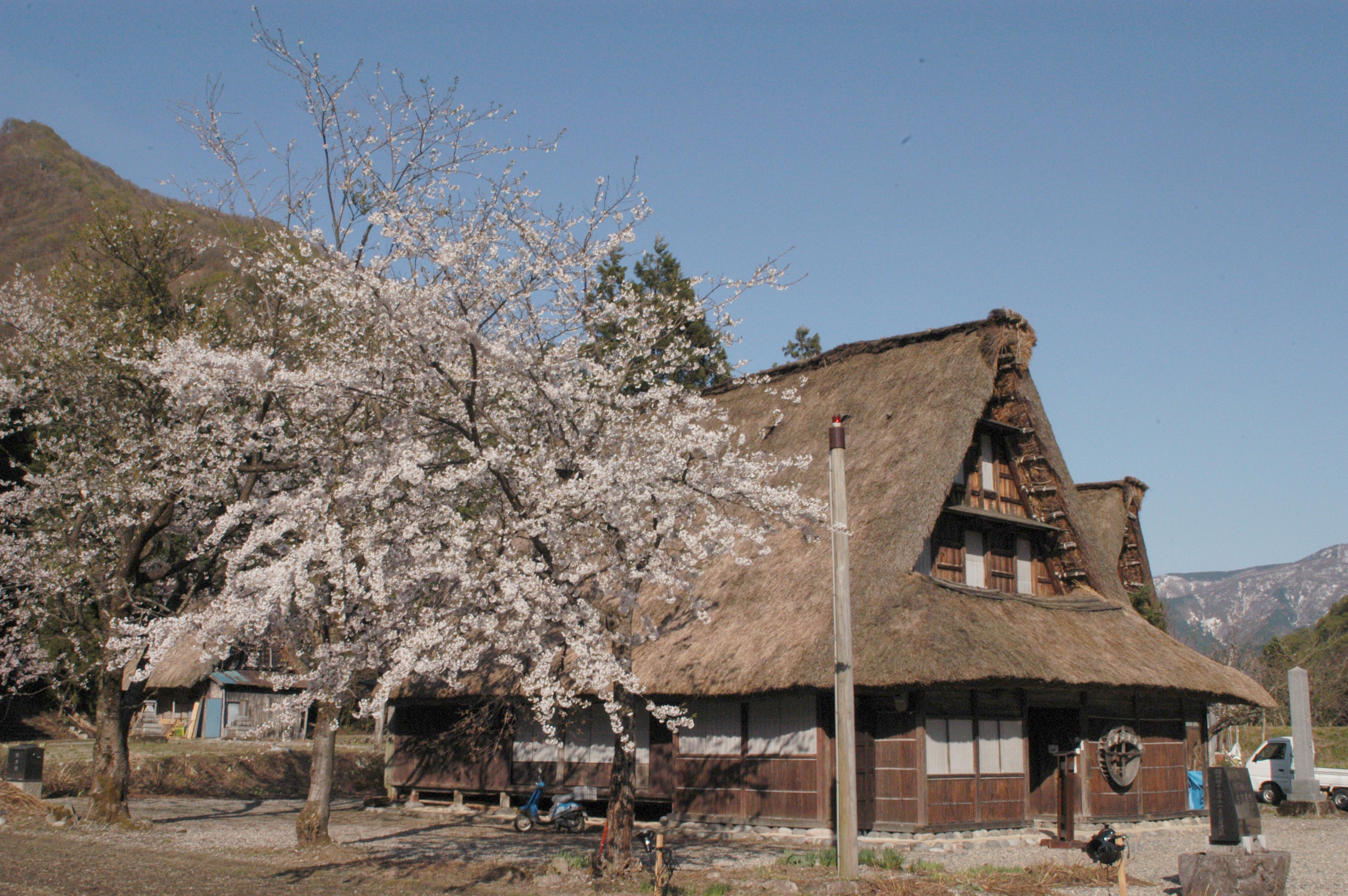 上平地域の桜の画像