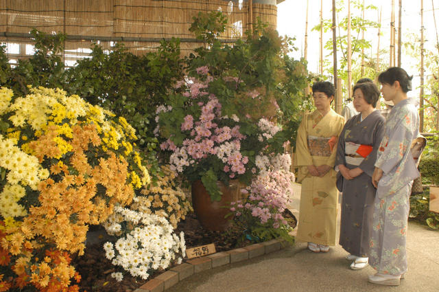 「南砺ふくの花と緑のフェスティバル２００５」開催！の画像