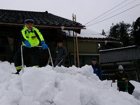 福光地域の太美山で｢越中雪かき道場2015｣開催の画像