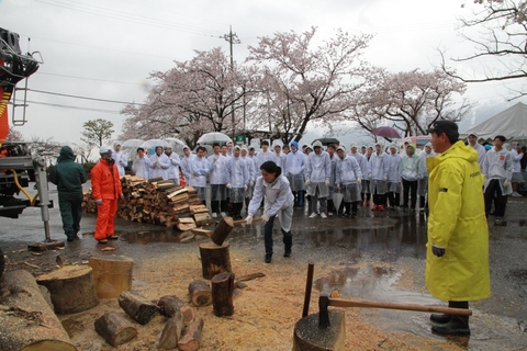 桜ヶ池で「桜満開プロジェクト」開催の画像
