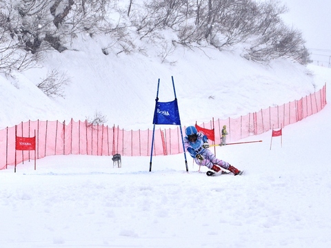 第69回中部日本スキー大会で富山県選手団が大活躍！の画像