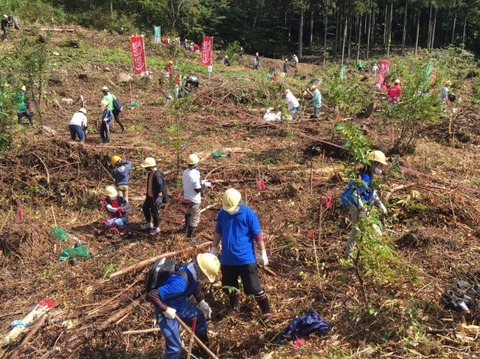 利賀地域で植林活動を実施の画像