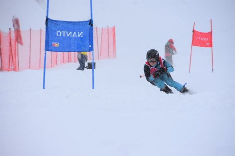 第７３回中部日本スキー大会（１日目）　富山県選手団が大活躍の画像