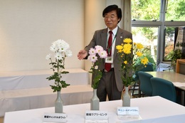 スプレー菊　新品種を発表の画像