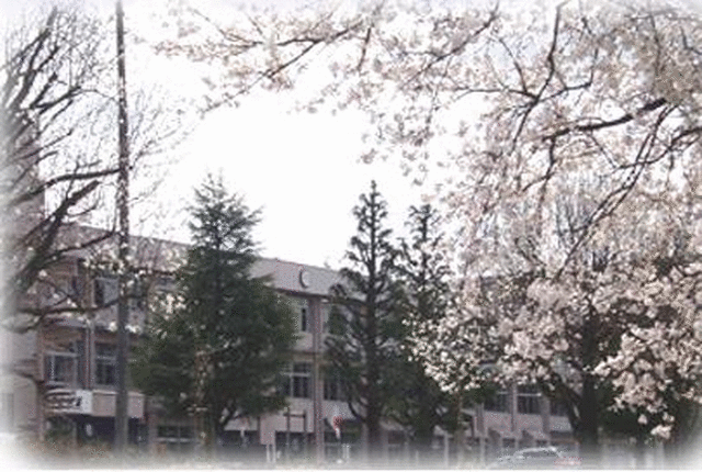 井波中学校の画像