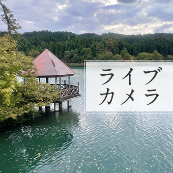 ライブカメラ