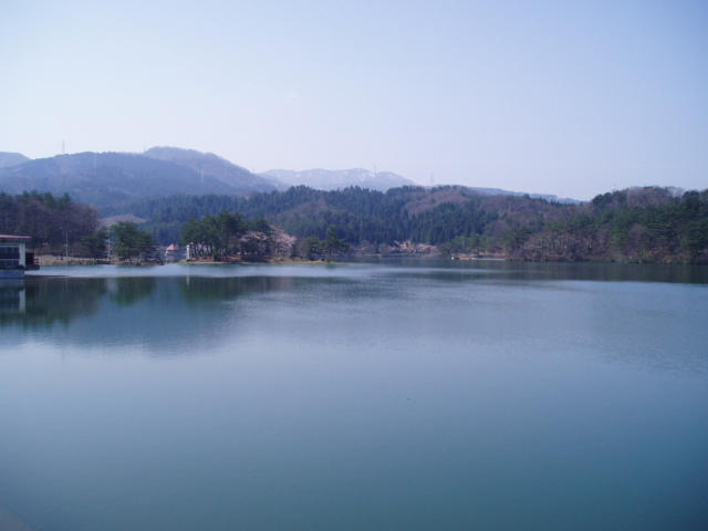 遠くの山々が見渡せる穏やかな桜ヶ池を写した写真