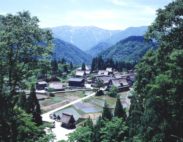 越中五箇山相倉集落を木々が開けた山の上から撮影している写真