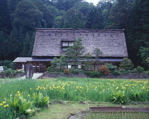 木々に囲まれ入り口前には黄色のスイレンの花が咲いた敷地内に建つ、合掌造りの岩瀬家住宅の建物外観の写真
