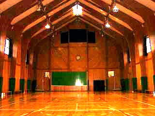 天井が高く三角になっており照明が3列についている体育館内を移した写真